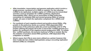  After translation, transcription and genome replication which involve a
single process, synthesis of (+) RNA) is realized. For the infecting
(+)RNA to be replicated, multiple copies of (−)RNA must be transcribed
and then used as templates for (+)RNA synthesis. Replicative
intermediates (RIs), which are an association of RNA molecules
consisting of a template RNA and several growing RNAs of varying
length, are seen in both the replication complexes for (−)RNAs and
(+)RNAs.
 For synthesis of each negative-strand and positive-strand RNAs, VPg
protein in the poliovirus works as a primer. RNA-dependent RNA
polymerase of the poliovirus adds two uracil nucleotides (UU) to VPg
protein utilizing the poly(A) tail at the 3′-end of the +ssRNA genome as a
pattern for synthesis of the negative-strand antigenomic RNA. To initiate
this −ssRNA synthesis, the tyrosine hydroxyl of VPg is needed. But for
the initiation of positive strand RNA synthesis, CRE-dependent VPg
uridylation is needed.
 Which means that VPg is once more utilized as a primer however this
time it adds the two uridine triphosphates using a cis-acting replication
element (CRE) as a template.
 