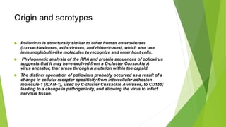 Origin and serotypes
 Poliovirus is structurally similar to other human enteroviruses
(coxsackieviruses, echoviruses, and rhinoviruses), which also use
immunoglobulin-like molecules to recognize and enter host cells.
 Phylogenetic analysis of the RNA and protein sequences of poliovirus
suggests that it may have evolved from a C-cluster Coxsackie A
virus ancestor, that arose through a mutation within the capsid.
 The distinct speciation of poliovirus probably occurred as a result of a
change in cellular receptor specificity from intercellular adhesion
molecule-1 (ICAM-1), used by C-cluster Coxsackie A viruses, to CD155;
leading to a change in pathogenicity, and allowing the virus to infect
nervous tissue.
 