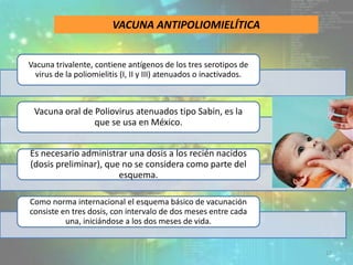 Vacuna trivalente, contiene antígenos de los tres serotipos de
virus de la poliomielitis (I, II y III) atenuados o inactivados.
Vacuna oral de Poliovirus atenuados tipo Sabin, es la
que se usa en México.
Es necesario administrar una dosis a los recién nacidos
(dosis preliminar), que no se considera como parte del
esquema.
Como norma internacional el esquema básico de vacunación
consiste en tres dosis, con intervalo de dos meses entre cada
una, iniciándose a los dos meses de vida.
VACUNA ANTIPOLIOMIELÍTICA
12
 