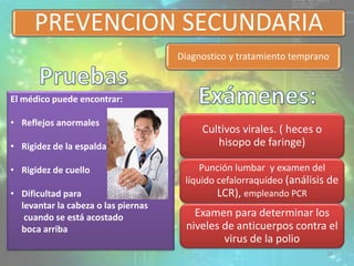 PREVENCION SECUNDARIA
Diagnostico y tratamiento temprano
El médico puede encontrar:
• Reflejos anormales
• Rigidez de la espalda
• Rigidez de cuello
• Dificultad para
levantar la cabeza o las piernas
cuando se está acostado
boca arriba
Cultivos virales. ( heces o
hisopo de faringe)
Punción lumbar y examen del
líquido cefalorraquídeo (análisis de
LCR), empleando PCR
Examen para determinar los
niveles de anticuerpos contra el
virus de la polio
28
 