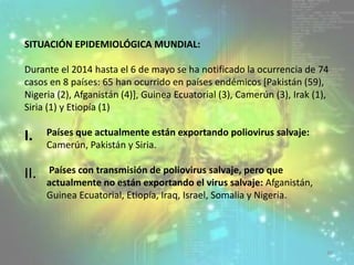 40
SITUACIÓN EPIDEMIOLÓGICA MUNDIAL:
Durante el 2014 hasta el 6 de mayo se ha notificado la ocurrencia de 74
casos en 8 países: 65 han ocurrido en países endémicos [Pakistán (59),
Nigeria (2), Afganistán (4)], Guinea Ecuatorial (3), Camerún (3), Irak (1),
Siria (1) y Etiopía (1)
I. Países que actualmente están exportando poliovirus salvaje:
Camerún, Pakistán y Siria.
II. Países con transmisión de poliovirus salvaje, pero que
actualmente no están exportando el virus salvaje: Afganistán,
Guinea Ecuatorial, Etiopía, Iraq, Israel, Somalia y Nigeria.
 