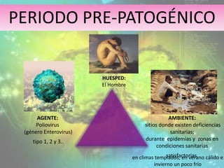PERIODO PRE-PATOGÉNICO
AGENTE:
Poliovirus
(género Enterovirus)
tipo 1, 2 y 3..
HUESPED:
El Hombre
AMBIENTE:
sitios donde existen deficiencias
sanitarias;
durante epidemias y zonas en
condiciones sanitarias
satisfactorias.
5
en climas templados, en verano cálido e
invierno un poco frío
 