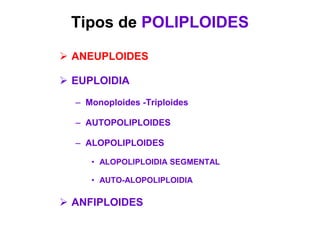 Tipos de POLIPLOIDES
 ANEUPLOIDES
 EUPLOIDIA
– Monoploides -Triploides
– AUTOPOLIPLOIDES
– ALOPOLIPLOIDES
• ALOPOLIPLOIDIA SEGMENTAL
• AUTO-ALOPOLIPLOIDIA
 ANFIPLOIDES
 