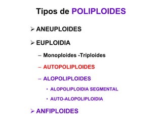 Tipos de POLIPLOIDES
 ANEUPLOIDES
 EUPLOIDIA
– Monoploides -Triploides
– AUTOPOLIPLOIDES
– ALOPOLIPLOIDES
• ALOPOLIPLOIDIA SEGMENTAL
• AUTO-ALOPOLIPLOIDIA
 ANFIPLOIDES
 