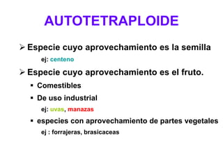 AUTOTETRAPLOIDE
 Especie cuyo aprovechamiento es la semilla
ej: centeno
 Especie cuyo aprovechamiento es el fruto.
 Comestibles
 De uso industrial
ej: uvas, manazas
 especies con aprovechamiento de partes vegetales
ej : forrajeras, brasicaceas
 