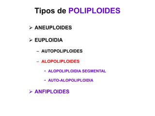 Tipos de POLIPLOIDES
 ANEUPLOIDES
 EUPLOIDIA
– AUTOPOLIPLOIDES
– ALOPOLIPLOIDES
• ALOPOLIPLOIDIA SEGMENTAL
• AUTO-ALOPOLIPLOIDIA
 ANFIPLOIDES
 