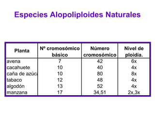 Planta Nº cromosómico
básico
Número
cromosómico
Nivel de
ploidía.
avena 7 42 6x
cacahuete 10 40 4x
caña de azúcar 10 80 8x
tabaco 12 48 4x
algodón 13 52 4x
manzana 17 34,51 2x,3x
Especies Alopoliploides Naturales
 