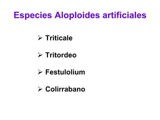 Especies Aloploides artificiales
 Triticale
 Tritordeo
 Festulolium
 Colirrabano
 