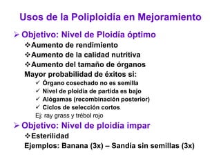 Usos de la Poliploidía en Mejoramiento
 Objetivo: Nivel de Ploidía óptimo
Aumento de rendimiento
Aumento de la calidad nutritiva
Aumento del tamaño de órganos
Mayor probabilidad de éxitos si:
 Órgano cosechado no es semilla
 Nivel de ploidía de partida es bajo
 Alógamas (recombinación posterior)
 Ciclos de selección cortos
Ej: ray grass y trébol rojo
 Objetivo: Nivel de ploidía impar
Esterilidad
Ejemplos: Banana (3x) – Sandía sin semillas (3x)
 