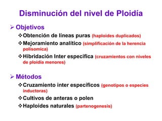Disminución del nivel de Ploidía
 Objetivos
Obtención de líneas puras (haploides duplicados)
Mejoramiento analítico (simplificación de la herencia
polisomica)
Hibridación Inter especifica (cruzamientos con niveles
de ploidía menores)
 Métodos
Cruzamiento inter específicos (genotipos o especies
inductoras)
Cultivos de anteras o polen
Haploides naturales (partenogenesis)
 