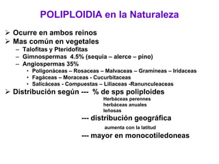 POLIPLOIDIA en la Naturaleza
 Ocurre en ambos reinos
 Mas común en vegetales
– Talofitas y Pteridofitas
– Gimnospermas 4.5% (sequia – alerce – pino)
– Angiospermas 35%
• Poligonáceas – Rosaceas – Malvaceas – Gramíneas – Iridaceas
• Fagáceas – Moraceas - Cucurbitaceas
• Salicáceas - Compuestas – Liliaceas -Ranunculeaceas
 Distribución según --- % de sps poliploides
Herbáceas perennes
herbáceas anuales
leñosas
--- distribución geográfica
aumenta con la latitud
--- mayor en monocotiledoneas
 