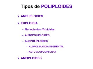 Tipos de POLIPLOIDES
 ANEUPLOIDES
 EUPLOIDIA
– Monoploides -Triploides
– AUTOPOLIPLOIDES
– ALOPOLIPLOIDES
• ALOPOLIPLOIDIA SEGMENTAL
• AUTO-ALOPOLIPLOIDIA
 ANFIPLOIDES
 