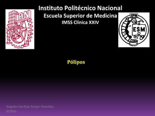 Angeles Garibay Sergio Oswaldo.
8CM56
Instituto Politécnico Nacional
Escuela Superior de Medicina
IMSS Clínica XXIV
 