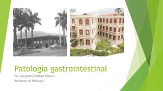 Patología gastrointestinal
Por: Alejandro Cardona Palacio
Residente de Patología
 