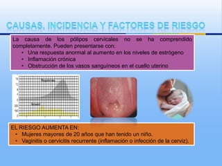 La causa de los pólipos cervicales no se ha comprendido
completamente. Pueden presentarse con:
   • Una respuesta anormal al aumento en los niveles de estrógeno
   • Inflamación crónica
   • Obstrucción de los vasos sanguíneos en el cuello uterino




EL RIESGO AUMENTA EN:
 • Mujeres mayores de 20 años que han tenido un niño.
 • Vaginitis o cervicitis recurrente (inflamación o infección de la cerviz).
 