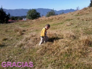 Polipos cervicales.mony