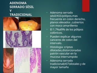 ADENOMA
SERRADO SÈSIL
Y
TRADICIONAL
• Adenoma serrado
sésil/ASS/pólipos,mas
frecuente en colon derecho,
planos elevados ,cubiertos
con moco amarillento
• El 1.7%al9% de los pólipos
colònicos.
• Pueden explicar algunos
canceres de colon del
intervalo.
• Histologia :criptas
dilatadas,distorcionadas
patròn vascular en la
mucosa interrumpido
• Adenoma serrado
tradicional(AST)distales y de
mayor tamaño
 