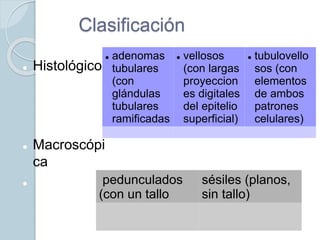 Clasificación
 Histológico
 Macroscópi
ca
 pedunculados
(con un tallo
sésiles (planos,
sin tallo)
 adenomas
tubulares
(con
glándulas
tubulares
ramificadas
 vellosos
(con largas
proyeccion
es digitales
del epitelio
superficial)
 tubulovello
sos (con
elementos
de ambos
patrones
celulares)
 