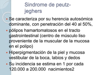 Sindrome de peutz-
jeghers
 Se caracteriza por su herencia autosómica
dominante, con penetración del 40 al 50%,
 pólipos hamartomatosos en el tracto
gastrointestinal (centro de músculo liso
proveniente de la muscular de la mucosa
en el polipo)
 Hiperpigmentación de la piel y mucosa
vestibular de la boca, labios y dedos
 Su incidencia se estima en 1 por cada
120.000 a 200.000 nacimientos2
 