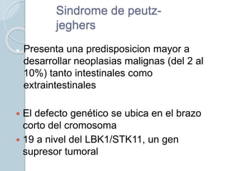 Sindrome de peutz-
jeghers
 Presenta una predisposicion mayor a
desarrollar neoplasias malignas (del 2 al
10%) tanto intestinales como
extraintestinales
 El defecto genético se ubica en el brazo
corto del cromosoma
 19 a nivel del LBK1/STK11, un gen
supresor tumoral
 