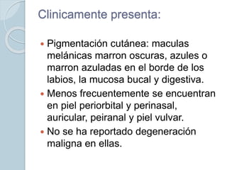Clinicamente presenta:
 Pigmentación cutánea: maculas
melánicas marron oscuras, azules o
marron azuladas en el borde de los
labios, la mucosa bucal y digestiva.
 Menos frecuentemente se encuentran
en piel periorbital y perinasal,
auricular, peiranal y piel vulvar.
 No se ha reportado degeneración
maligna en ellas.
 
