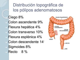 Distribución topográfica de
los pólipos adenomatosos
 Ciego 8%
 Colon ascendente 9%
 Flexura hepática 4%
 Colon transverso 10%
 Flexura esplénica 4%
 Colon descendente 14%
 Sigmoides 8%
 Recto 8 %
 