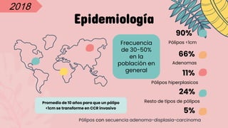 Epidemiología
11%
Pólipos hiperplasicos
90%
Pólipos <1cm
66%
Adenomas
Frecuencia
de 30-50%
en la
población en
general
24%
5%
Resto de tipos de pólipos
Pólipos con secuencia adenoma-displasia-carcinoma
2018
Promedio de 10 años para que un pólipo
<1cm se transforme en CCR invasivo
 