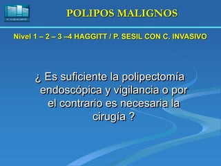 H. “LLUÍS ALCANYÍS”
POLIPOS MALIGNOS
¿ Es suficiente la polipectomía
endoscópica y vigilancia o por
el contrario es necesaria la
cirugía ?
Nivel 1 – 2 – 3 –4 HAGGITT / P. SESIL CON C. INVASIVO
 