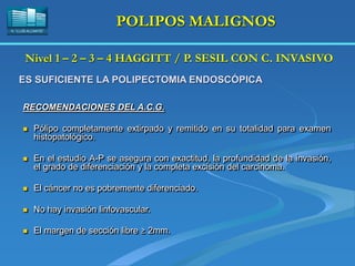 H. “LLUÍS ALCANYÍS”
POLIPOS MALIGNOS
RECOMENDACIONES DEL A.C.G.
 Pólipo completamente extirpado y remitido en su totalidad para examen
histopatológico.
 En el estudio A-P se asegura con exactitud, la profundidad de la invasión,
el grado de diferenciación y la completa excisión del carcinoma.
 El cáncer no es pobremente diferenciado.
 No hay invasión linfovascular.
 El margen de sección libre ≥ 2mm.
Nivel 1 – 2 – 3 – 4 HAGGITT / P. SESIL CON C. INVASIVO
ES SUFICIENTE LA POLIPECTOMIA ENDOSCÓPICA
 