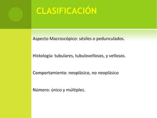 CLASIFICACIÓN
Aspecto Macroscópico: sésiles o pedunculados.
Histología: tubulares, tubulovellosos, y vellosos.
Comportamiento: neoplásico, no neoplásico
Número: único y múltiples.
 