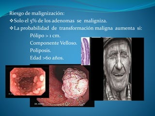 Riesgo de malignización:
Solo el 5% de los adenomas se maligniza.
La probabilidad de transformación maligna aumenta si:
Pólipo > 1 cm.
Componente Velloso.
Poliposis.
Edad >60 años.
 