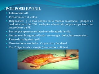 POLIPOSIS JUVENIL
 Enfermedad AD.
 Predominio en el colon.
 Diagnóstico: 5 o mas pólipos en la mucosa colorrectal; pólipos en
cualquier parte del TGI; cualquier número de pólipos en paciente con
antecedente de PF.
 Los pólipos aparecen en la primera década de la vida.
 Síntomas en la segunda década: rectorragia, dolor, intususcepción.
 Riesgo de malignizar: 50%
 Otros tumores asociados: Ca gástrico y duodenal.
 Tto: Polipectomía y cirugía (de acuerdo a clínica)
 