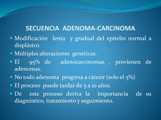 SECUENCIA ADENOMA-CARCINOMA
 Modificación lenta y gradual del epitelio normal a
displásico.
 Múltiples alteraciones genéticas.
 El 95% de adenocarcinomas , provienen de
adenomas.
 No todo adenoma progresa a cáncer (solo el 5%)
 El proceso puede tardar de 5 a 10 años.
 De este proceso deriva la importancia de su
diagnóstico, tratamiento y seguimiento.
 
