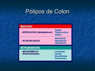 Pólipos de Colon
 