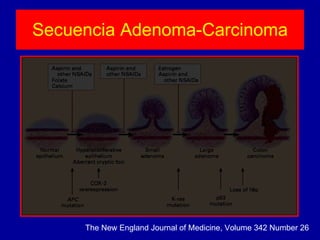Secuencia Adenoma-Carcinoma The New England Journal of Medicine, Volume 342 Number 26 
