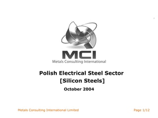 Polish Electrical Steel Sector  [Silicon Steels] October 2004 