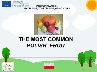 THE MOST COMMON
POLISH FRUIT
PROJECT ERASMUS+
MY CULTURE, YOUR CULTURE, OUR CULTURE
 