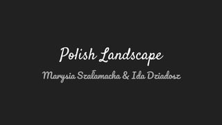 Polish Landscape
Marysia Szałamacha & Ida Dziadosz
 
