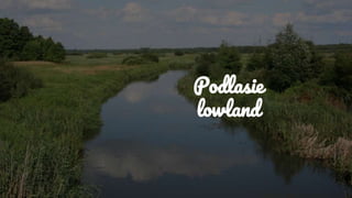Podlasie
lowland
 