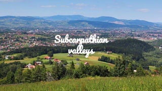 Subcarpathian
valleys
 