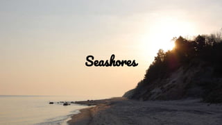 Seashores
 
