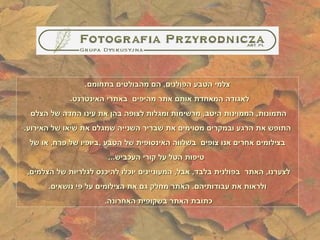 צלמי הטבע הפולנים ,  הם מהבולטים בתחומם . לאגודה המאחדת אותם אתר מהיפים  באתרי האינטרנט .  התמונות ,  הממוינות היטב ,  מרשימות ומגלות לצופה בהן את עינו החדה של הצלם  התופש את הרגע ובמקרים מסוימים את שבריר השנייה שמגלם את שיאו של האירוע . בצילומים אחרים אנו צופים  בשלווה האינסופית של הטבע  , ביופיו של פרח ,  או של טיפות הטל על קורי העכביש ... לצערנו ,  האתר  בפולנית בלבד ,  אבל ,  המעוניינים יוכלו להיכנס לגלריות של הצלמים ,  ולראות את עבודותיהם .  האתר מחלק גם את הצילומים על פי נושאים . כתובת האתר בשקופית האחרונה .   