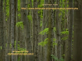 מקור הצילומים : http :// www . fotografia - przyrodnicza . art . pl / galeria . php קלריטה ואפרים [email_address] 
