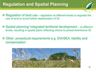 Regulation and Spatial Planning
v Regulation of land use – legislation at different levels to regulate the
use of land to avoid further deterioration of GI
v Spatial planning/ integrated territorial development – at different
levels, resulting in spatial plans reflecting choice to preserve/enhance GI
v Other: procedural requirements e.g. EIA/SEA; liability and
compensation
12
 