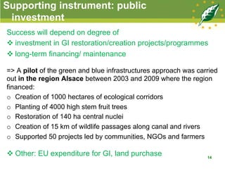 Supporting instrument: public
investment
Success will depend on degree of
v investment in GI restoration/creation projects/programmes
v long-term financing/ maintenance
=> A pilot of the green and blue infrastructures approach was carried
out in the region Alsace between 2003 and 2009 where the region
financed:
o  Creation of 1000 hectares of ecological corridors
o  Planting of 4000 high stem fruit trees
o  Restoration of 140 ha central nuclei
o  Creation of 15 km of wildlife passages along canal and rivers
o  Supported 50 projects led by communities, NGOs and farmers
v Other: EU expenditure for GI, land purchase 14
 