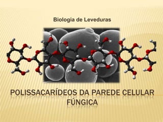 Biologia de Leveduras

POLISSACARÍDEOS DA PAREDE CELULAR
FÚNGICA

 