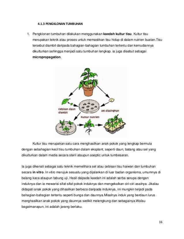 Aa203 Sains Teknologi Pengklonan