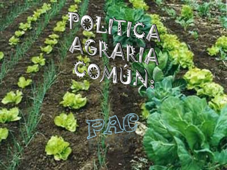 politica-agraria-com-n