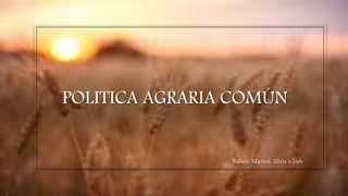 POLITICA AGRARIA COMÚN
Rubén, Manuel, Silvia e Inés
 