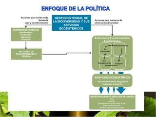 SANDRA MILENA ORTIZSANDRA MILENA ORTIZ
JUAN CARLOS OBANDOJUAN CARLOS OBANDO
 